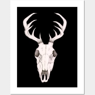 Deer Skull Posters and Art